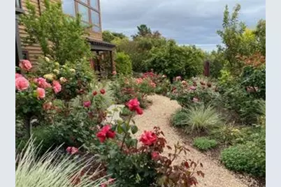 36 Loma Rd, Redwood City, CA 94062 - Photo 21