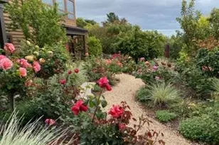 36 Loma Rd, Redwood City, CA 94062 - Photo 21