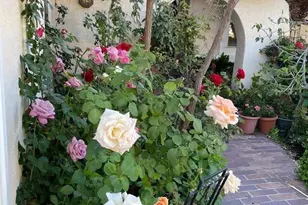 6270 Tweedholm Ct, San Jose, CA 95120 - Photo 1