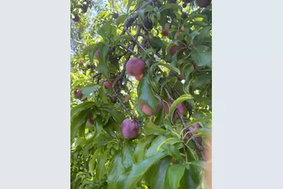 6270 Tweedholm Ct, San Jose, CA 95120 - Photo 37