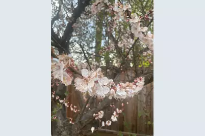 6270 Tweedholm Ct, San Jose, CA 95120 - Photo 35