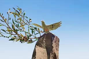 17490 Blue Jay Dr, Morgan Hill, CA 95037 - Photo 51