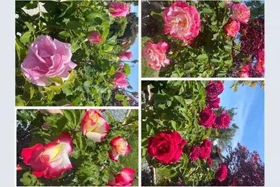 2644 Maplewood Ln, Santa Clara, CA 95051 - Photo 47