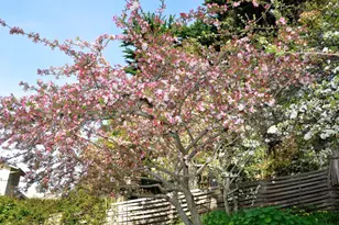 457 Monterey Dr, Aptos, CA 95003 - Photo 9