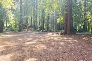 50 Escondido Pl, La Honda, CA 94020 - Photo 43