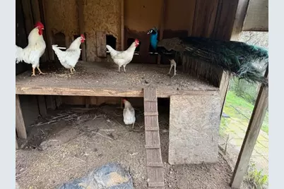 18171 Berta Canyon Rd, Salinas, CA 93907 - Photo 23