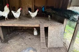 18171 Berta Canyon Rd, Salinas, CA 93907 - Photo 23