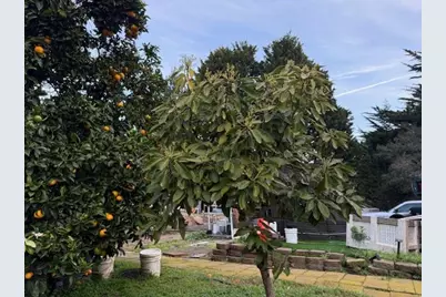 18171 Berta Canyon Rd, Salinas, CA 93907 - Photo 17