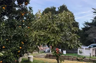 18171 Berta Canyon Rd, Salinas, CA 93907 - Photo 17