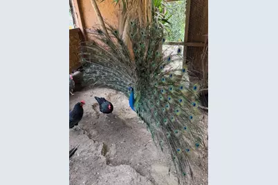 18171 Berta Canyon Rd, Salinas, CA 93907 - Photo 13