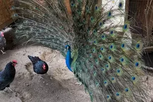 18171 Berta Canyon Rd, Salinas, CA 93907 - Photo 13