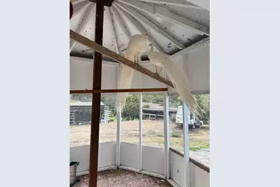 18171 Berta Canyon Rd, Salinas, CA 93907 - Photo 21