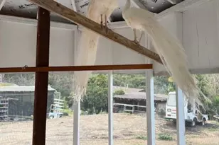 18171 Berta Canyon Rd, Salinas, CA 93907 - Photo 21