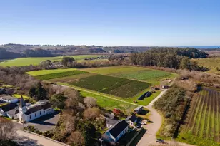 393 Stage Rd, Pescadero, CA 94060 - Photo 49