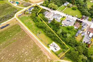 393 Stage Rd, Pescadero, CA 94060 - Photo 43
