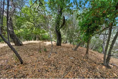 000 Lakeview Way, Redwood City, CA 94062 - Photo 13