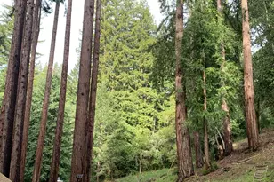 615 Heartwood Hill, Boulder Creek, CA 95006 - Photo 7