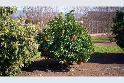 730 Lepa Ct, Gilroy, CA 95020 - Photo 49