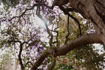 938 Clark Ave 50, Mountain View, CA 94040 - Photo 35