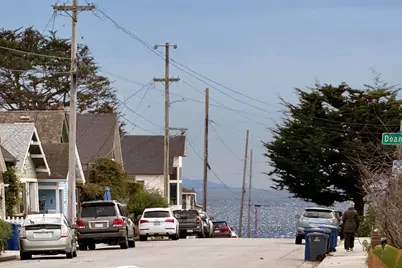 313 Cypress Ave, Santa Cruz, CA 95062 - Photo 19