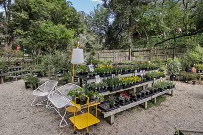 6875 The Turn, Oakland, CA 94611 - Photo 89