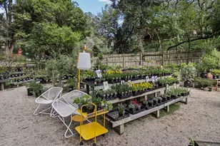 6875 The Turn, Oakland, CA 94611 - Photo 89