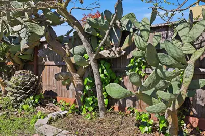 609 Gloria Ct, San Mateo, CA 94401 - Photo 67