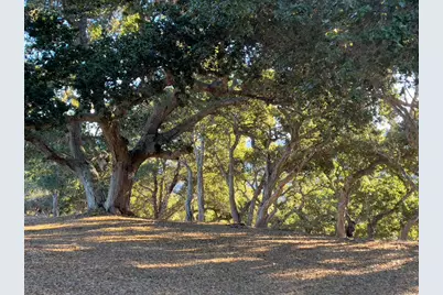 70 Chamisal Pass, Carmel Valley, CA 93923 - Photo 9