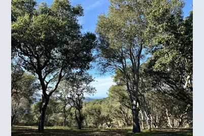 70 Chamisal Pass, Carmel Valley, CA 93923 - Photo 1