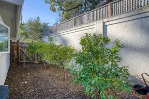 1065 Ray Ave, Los Altos, CA 94022 - Photo 45