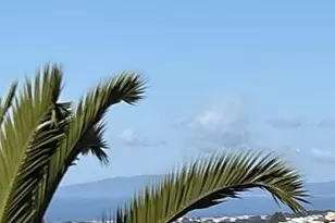 274 Peoria St, Daly City, CA 94014 - Photo 71