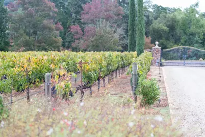 5371 Stonehurst Dr, Martinez, CA 94553 - Photo 31