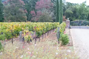 5371 Stonehurst Dr, Martinez, CA 94553 - Photo 31