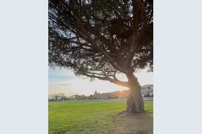 4513 Birchwood Ct, Union City, CA 94587 - Photo 61