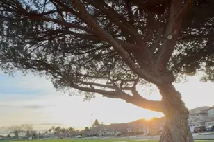 4513 Birchwood Ct, Union City, CA 94587 - Photo 61