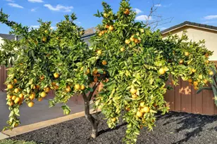 2862 Little Rock Dr, San Jose, CA 95133 - Photo 37