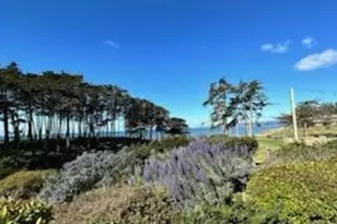 117 Seascape Resort Dr, Aptos, CA 95003 - Photo 13