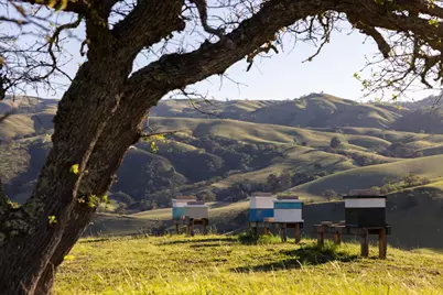 28000 Underwood Rd, Corral de Tierra, CA 93908 - Photo 5