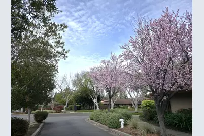 212 Red Oak Dr A, Sunnyvale, CA 94086 - Photo 15