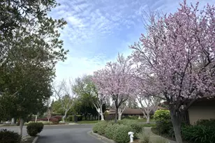 212 Red Oak Dr A, Sunnyvale, CA 94086 - Photo 15