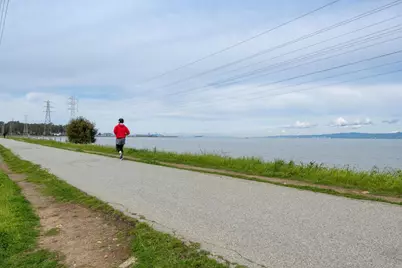 1729 Cypress Ave, San Mateo, CA 94401 - Photo 15