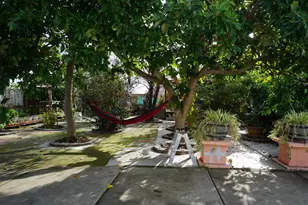 35037 Begonia St, Union City, CA 94587 - Photo 35