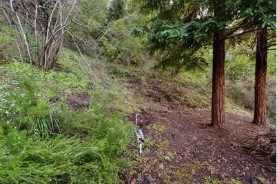 600 Cook Way, Ben Lomond, CA 95005 - Photo 33