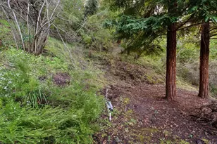 600 Cook Way, Ben Lomond, CA 95005 - Photo 33