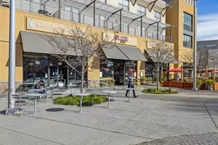 379 Derby Ave, San Mateo, CA 94403 - Photo 39