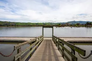 3674 Oakwood Ter 302, Fremont, CA 94536 - Photo 19