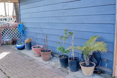 18940 Loree Ave, Cupertino, CA 95014 - Photo 19