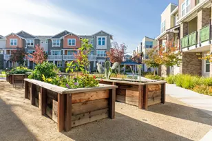 535 San Lorenzo Ter 1, Sunnyvale, CA 94085 - Photo 39