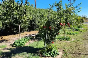 3719 N Hart Rd, Modesto, CA 95358 - Photo 29