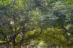 3719 N Hart Rd, Modesto, CA 95358 - Photo 15